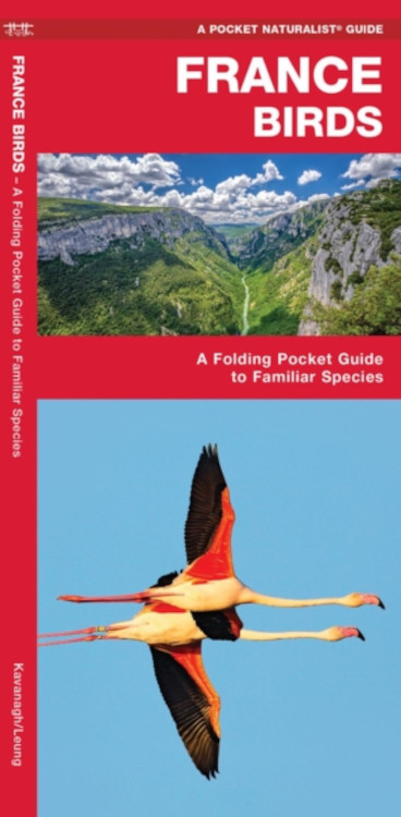 FRANCE BIRDS. A FOLDING POCKET GUIDE TO FAMILIAR SPECIES
