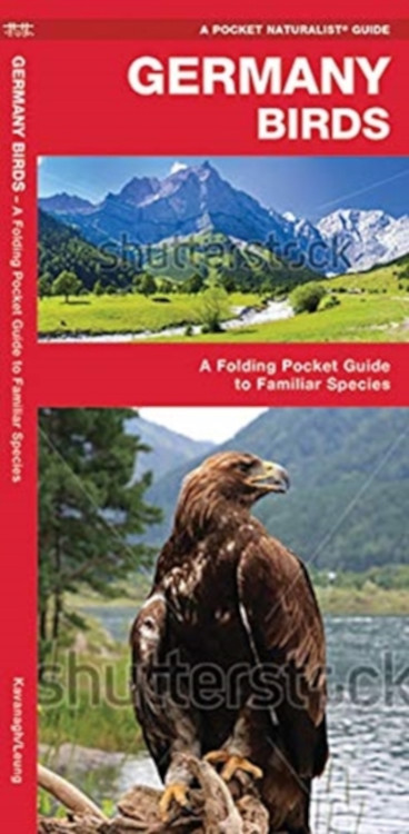 GERMANY BIRDS. A FOLDING POCKET GUIDE TO FAMILIAR SPECIES