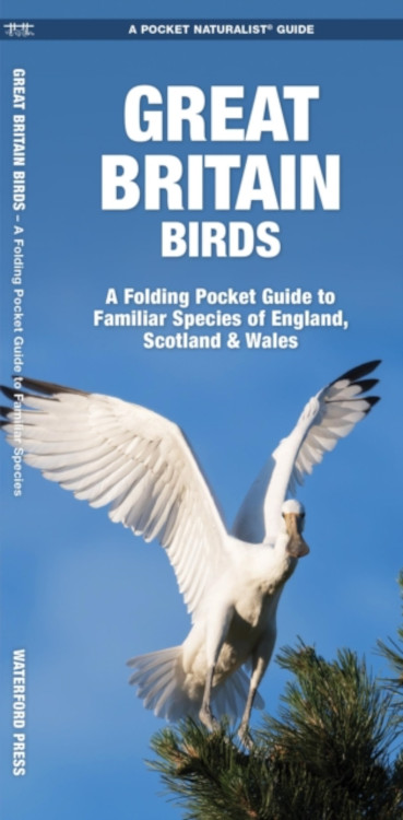 GREAT BRITAIN BIRDS. A FOLDING POCKET GUIDE TO FAMILIAR SPECIES
