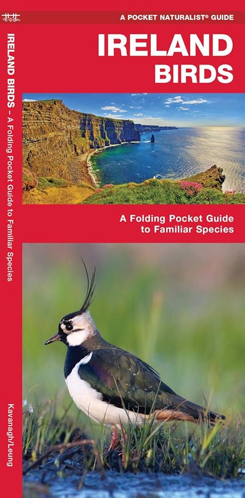 IRELAND BIRDS. A FOLDING POCKET GUIDE TO FAMILIAR SPECIES