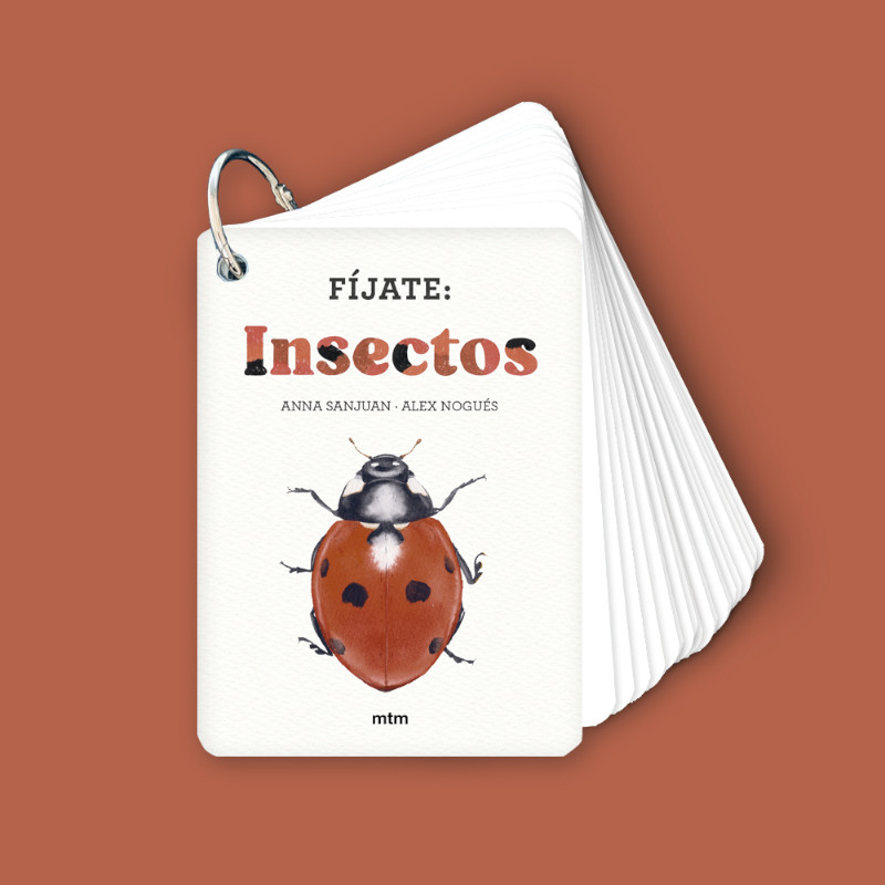 FIJATE: INSECTOS