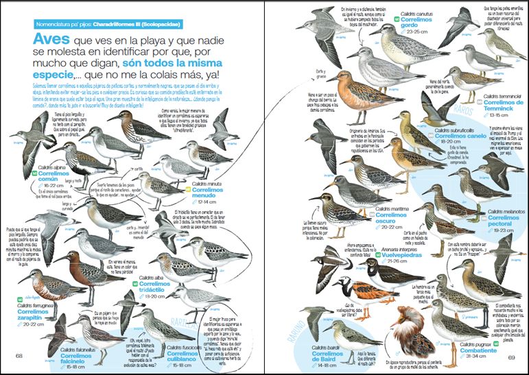 GUÍA DE LAS AVES DESESPERANTES DE ESPAÑA 2