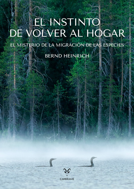 EL INSTINTO DE VOLVER AL HOGAR