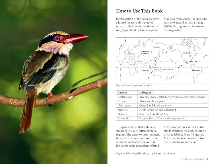 A PHOTOGRAPHIC GUIDE TO THE BIRDS OF INDONESIA 4