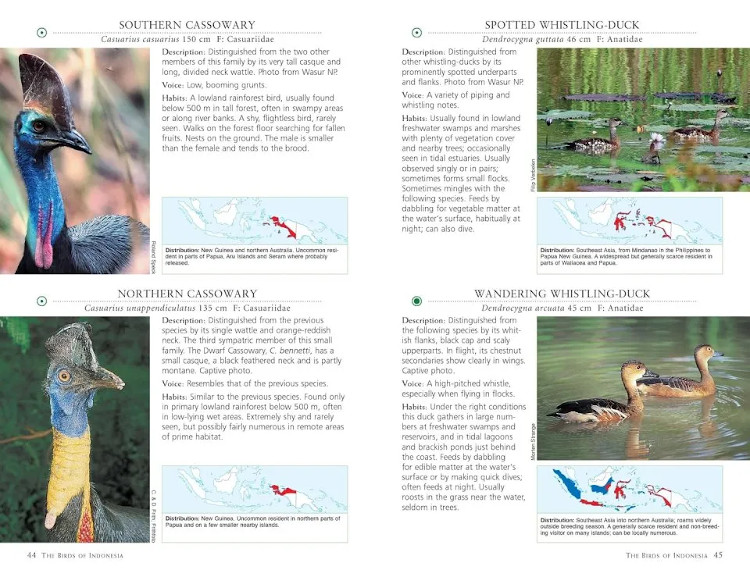 A PHOTOGRAPHIC GUIDE TO THE BIRDS OF INDONESIA 5