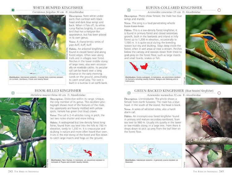 A PHOTOGRAPHIC GUIDE TO THE BIRDS OF INDONESIA 6