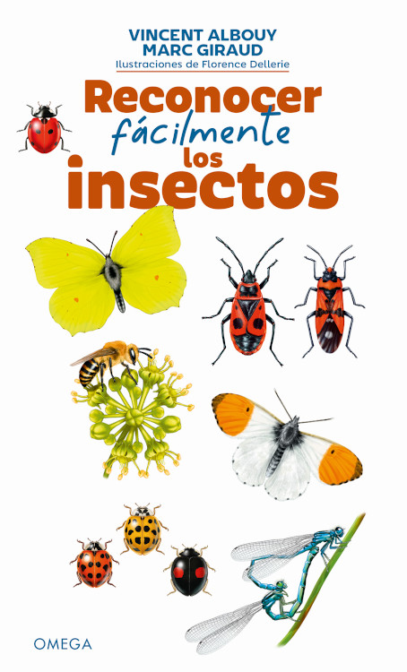 RECONOCER FÁCILMENTE LOS INSECTOS 1