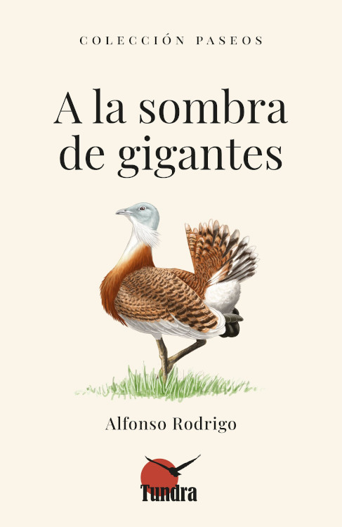 A LA SOMBRA DE GIGANTES. COLECCIÓN PASEOS 1