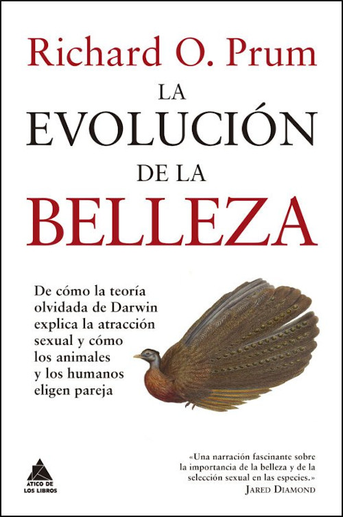 LA EVOLUCIÓN DE LA BELLEZA 1