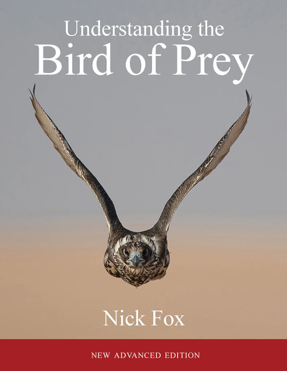 UNDERSTANDING THE BIRD OF PREY. ADVANCED EDITION