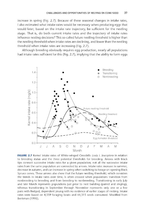 CROSSBILLS & CONIFERS. ONE MILLION YEARS OF ADAPTATION AND COEVOLUTION 3
