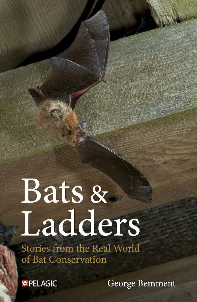 BATS & LADDERS STORIES FROM THE REAL WORLD OF BAT CONSERVATION