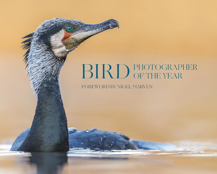 BIRD PHOTOGRAPHER OF THE YEAR, COLLECTION 10