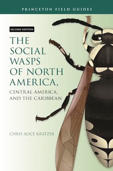 THE SOCIAL WASPS OF NORTH AMERICA, CENTRAL AMERICA AND THE CARIBBEAN