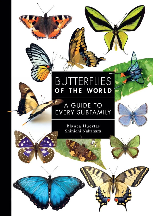BUTTERFLIES OF THE WORLD. A GUIDE TO EVERY SUBFAMILY