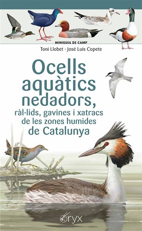 OCELLS AQUÀTICS NEDADORS, RÀL·LIDS, GAVINES I XATRACS DE LES ZONES HUMIDES DE CATALUNYA. MINIGUIA DE CAMP 1