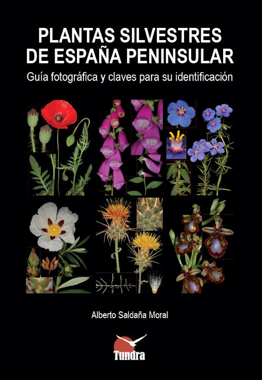 PLANTAS SILVESTRES DE ESPAÑA PENINSULAR. GUÍA FOTOGRÁFICA Y CLAVES PARA SU IDENTIFICACIÓN 1