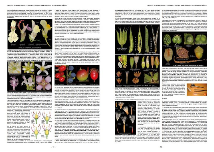 PLANTAS SILVESTRES DE ESPAÑA PENINSULAR. GUÍA FOTOGRÁFICA Y CLAVES PARA SU IDENTIFICACIÓN 3