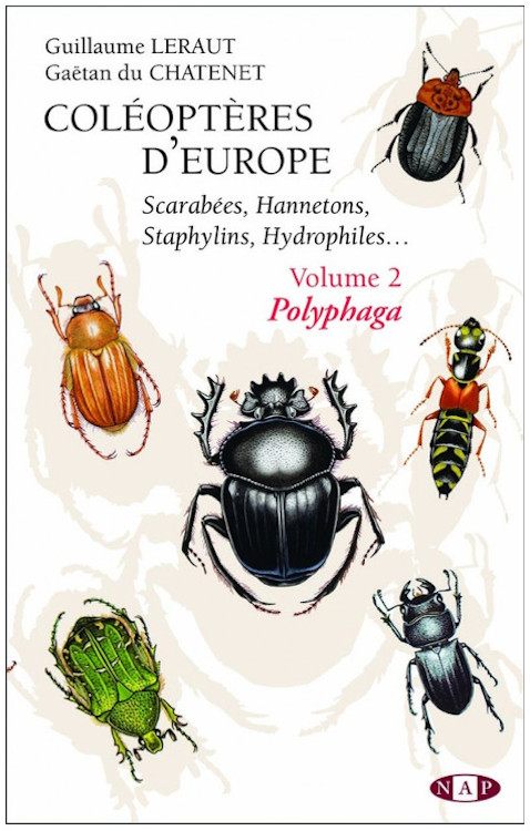COLÉOPTÈRES D\'EUROPE SCARABÉES, HANNETONS, STAPHYLINS. HYDROPHILES VOL. 2 POLYPHAGA 1