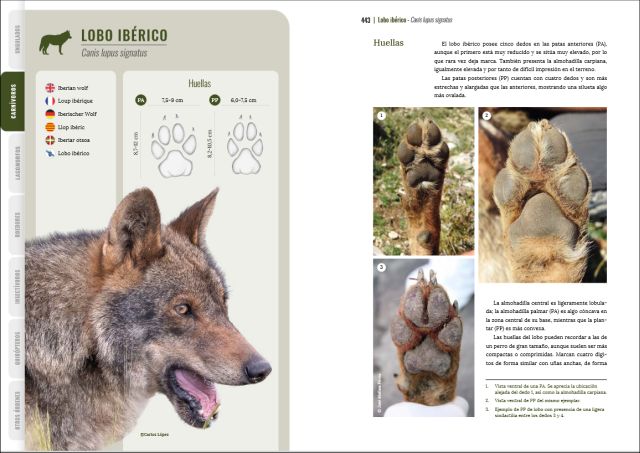 GUÍA VISUAL DE HUELLAS Y RASTROS DE LA FAUNA DE ESPAÑA Y RESTO DE EUROPA 3