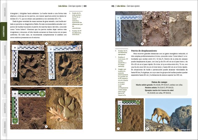 GUÍA VISUAL DE HUELLAS Y RASTROS DE LA FAUNA DE ESPAÑA Y RESTO DE EUROPA 4