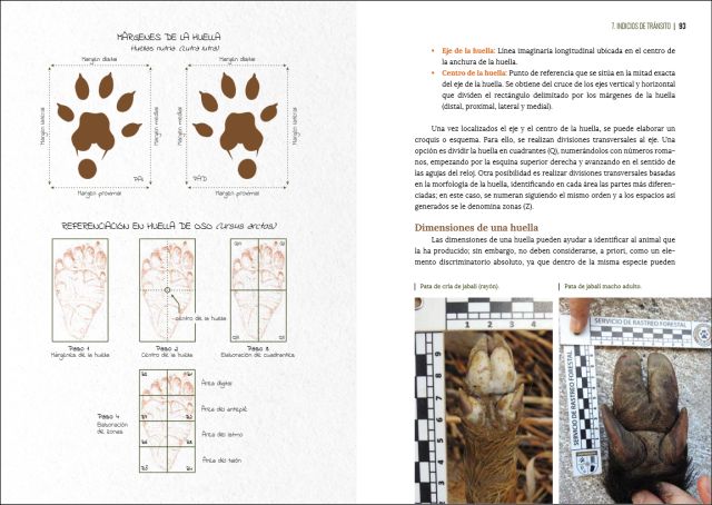 GUÍA VISUAL DE HUELLAS Y RASTROS DE LA FAUNA DE ESPAÑA Y RESTO DE EUROPA 8