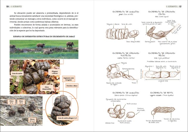 GUÍA VISUAL DE HUELLAS Y RASTROS DE LA FAUNA DE ESPAÑA Y RESTO DE EUROPA 9