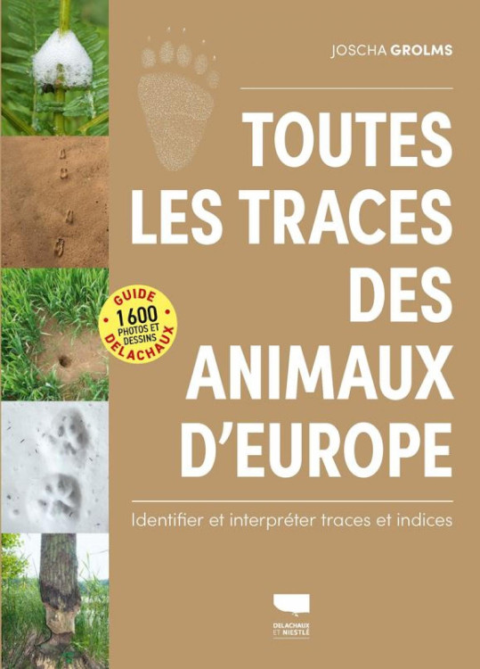 TOUTES LES TRACES DES ANIMAUX D'EUROPE 1
