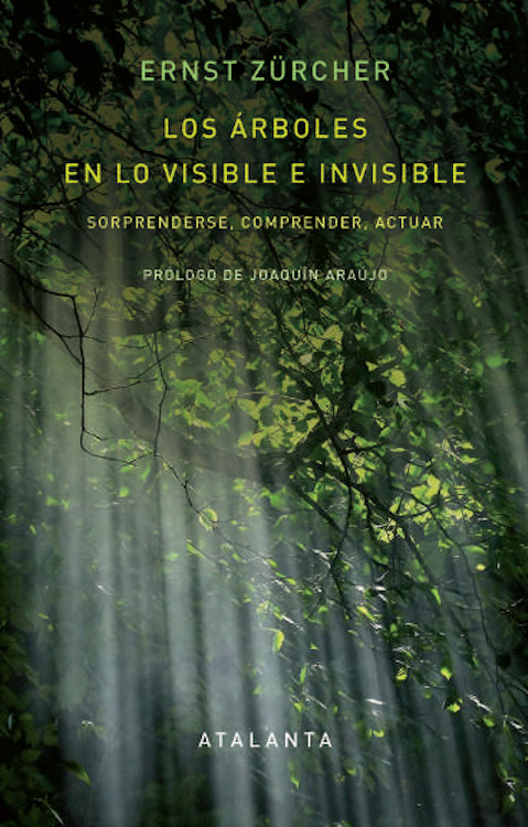 LOS ÁRBOLES EN LO VISIBLE E INVISIBLE. SORPRENDERSE, COMPRENDER, ACTUAR 1