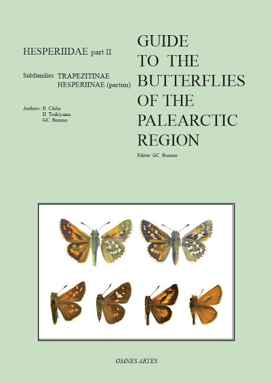GUIDE TO THE BUTTERFLIES OF THE PALEARCTIC REGION. HESPERIIDAE PART II 1