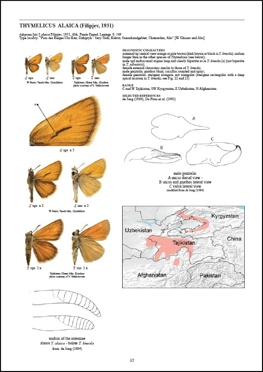 GUIDE TO THE BUTTERFLIES OF THE PALEARCTIC REGION. HESPERIIDAE PART II 2
