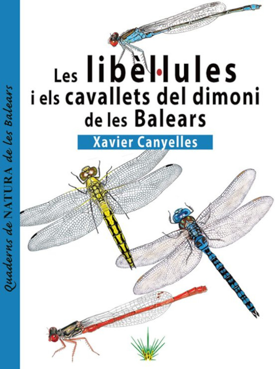 LES LIBEL·LULES I ELS CAVALLETS DEL DIMONI DE LES BALEARS