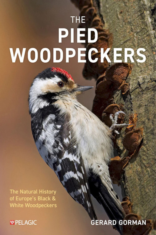 THE PIED WOODPECKERS. THE NATURAL HISTORY OF EUROPE'S BLACK & WHITE WOODPECKERS