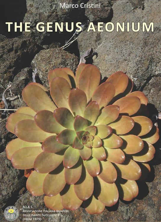 THE GENUS AEONIUM