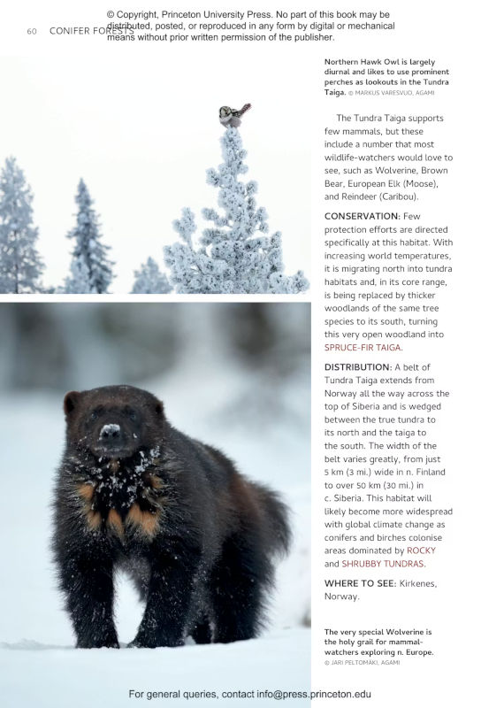 HABITATS OF EUROPE: A FIELD GUIDE FOR BIRDERS, NATURALISTS, AND ECOLOGISTS 6