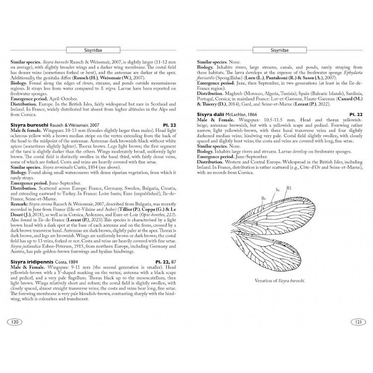 NEUROPTEROIDS OF EUROPE, NEUROPTERA, TRICHOPTERA, PLECOPTERA, MECOPTERA, MEGALOPTERA AND RAPHIDIOPTERA 2