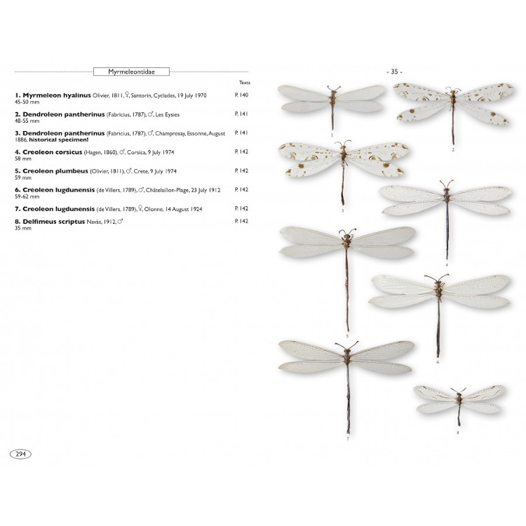 NEUROPTEROIDS OF EUROPE, NEUROPTERA, TRICHOPTERA, PLECOPTERA, MECOPTERA, MEGALOPTERA AND RAPHIDIOPTERA 3