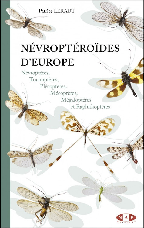 NÉVROPTÉROÏDES D\'EUROPE, NÉVROPTÈRES, TRICHOPTÈRES, PLÉCOPTÈRES, MÉCOPTÈRES, MÉGALOPTÈRES ET RAPHIDIOPTÈRES 1