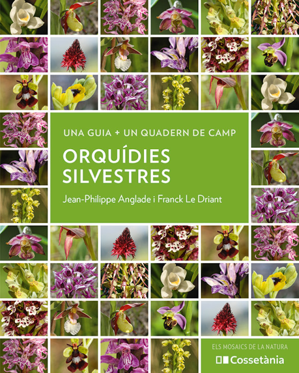 ORQUÍDIES SILVESTRES. UNA GUIA + UN QUADERN DE CAMP 1