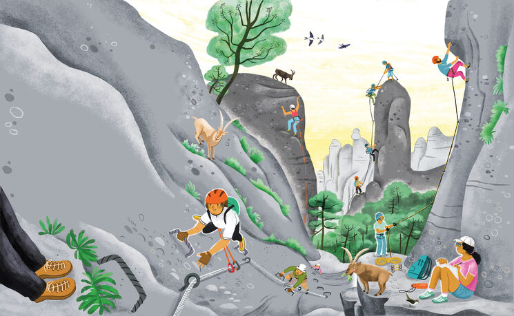 EL LLIBRE DE LES MUNTANYES CATALANES 3