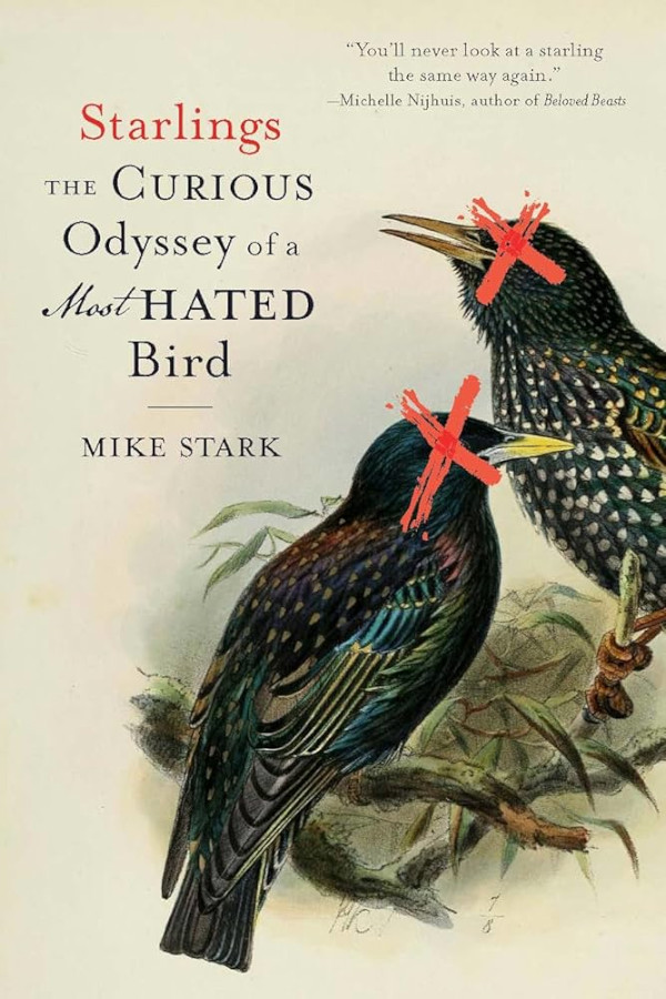 STARLINGS, THE CURIOUS ODYSSEY OF A MOST HATED BIRD