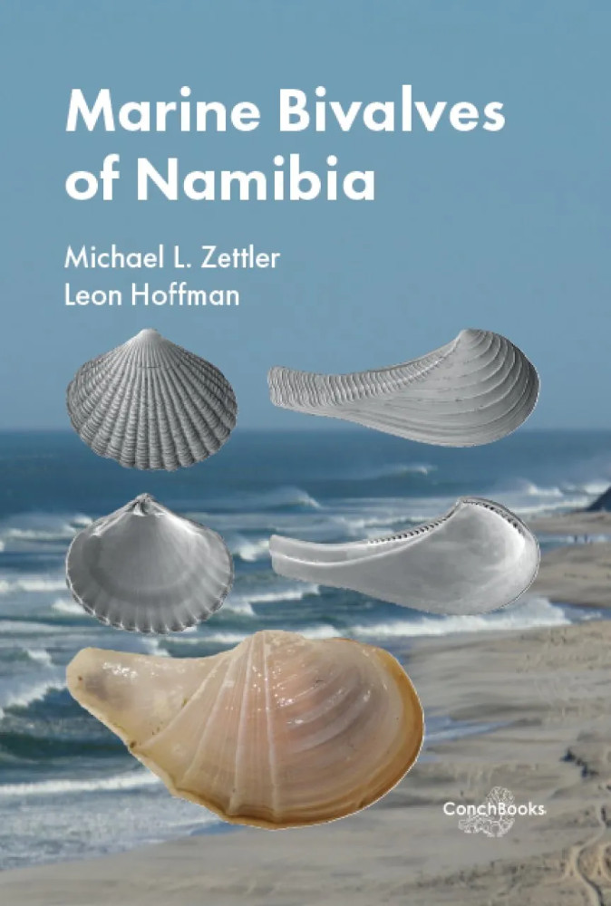 MARINE BIVALVES OF NAMIBIA