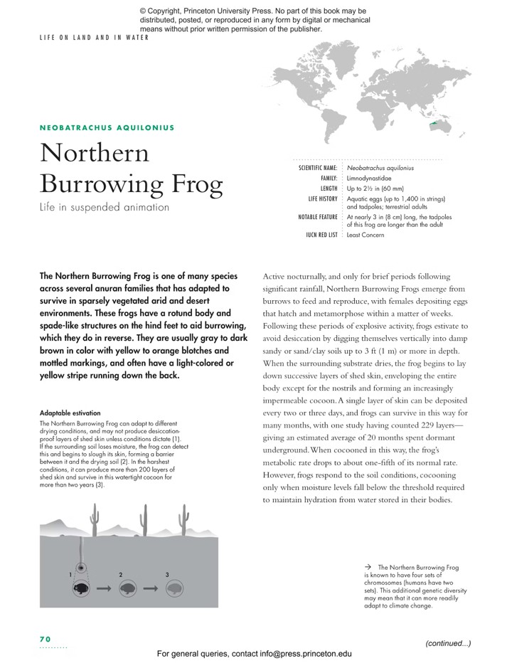 THE LIVES OF FROGS. A NATURAL HISTORY 3