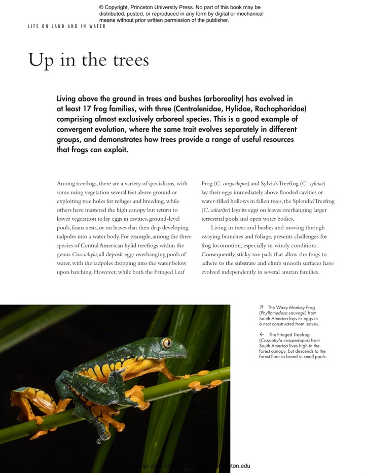 THE LIVES OF FROGS. A NATURAL HISTORY 4