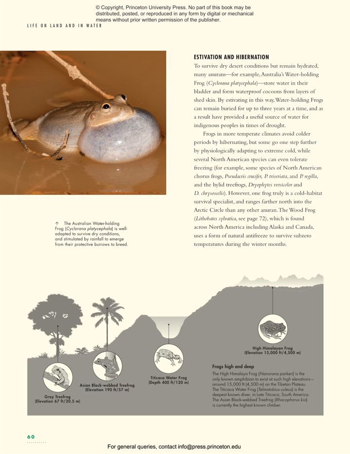 THE LIVES OF FROGS. A NATURAL HISTORY 5