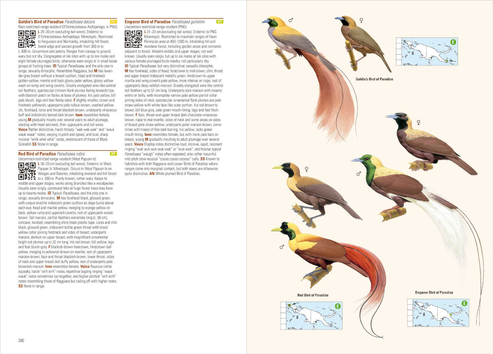 BIRDS OF NEW GUINEA. 2ND EDITION (FLEXI COVER) 2