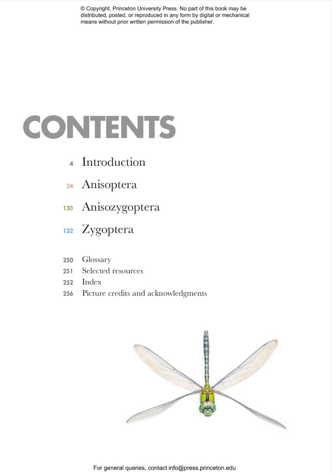 DRAGONFLIES AND DAMSELFLIES OF THE WORLD. A GUIDE TO THEIR DIVERSITY 2