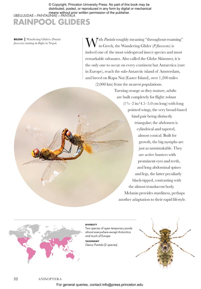 DRAGONFLIES AND DAMSELFLIES OF THE WORLD. A GUIDE TO THEIR DIVERSITY 3