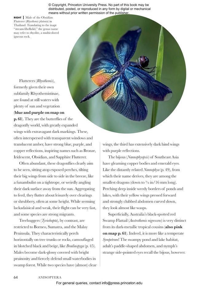 DRAGONFLIES AND DAMSELFLIES OF THE WORLD. A GUIDE TO THEIR DIVERSITY 4