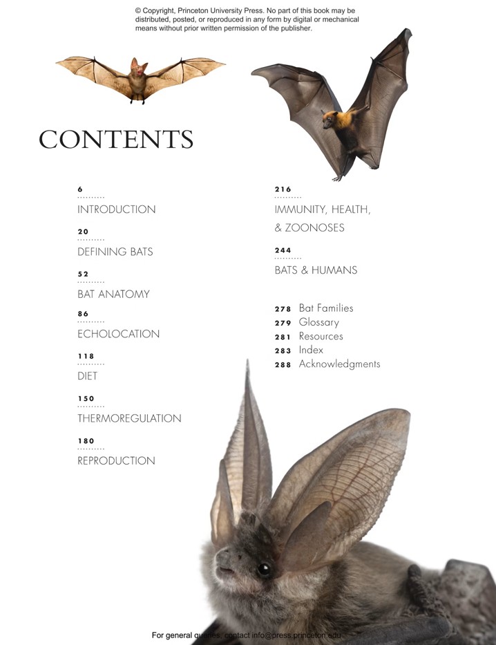 THE LIVES OF BATS. A NATURAL HISTORY 2